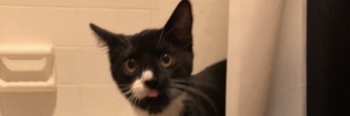 Caroline_yay's profile banner image