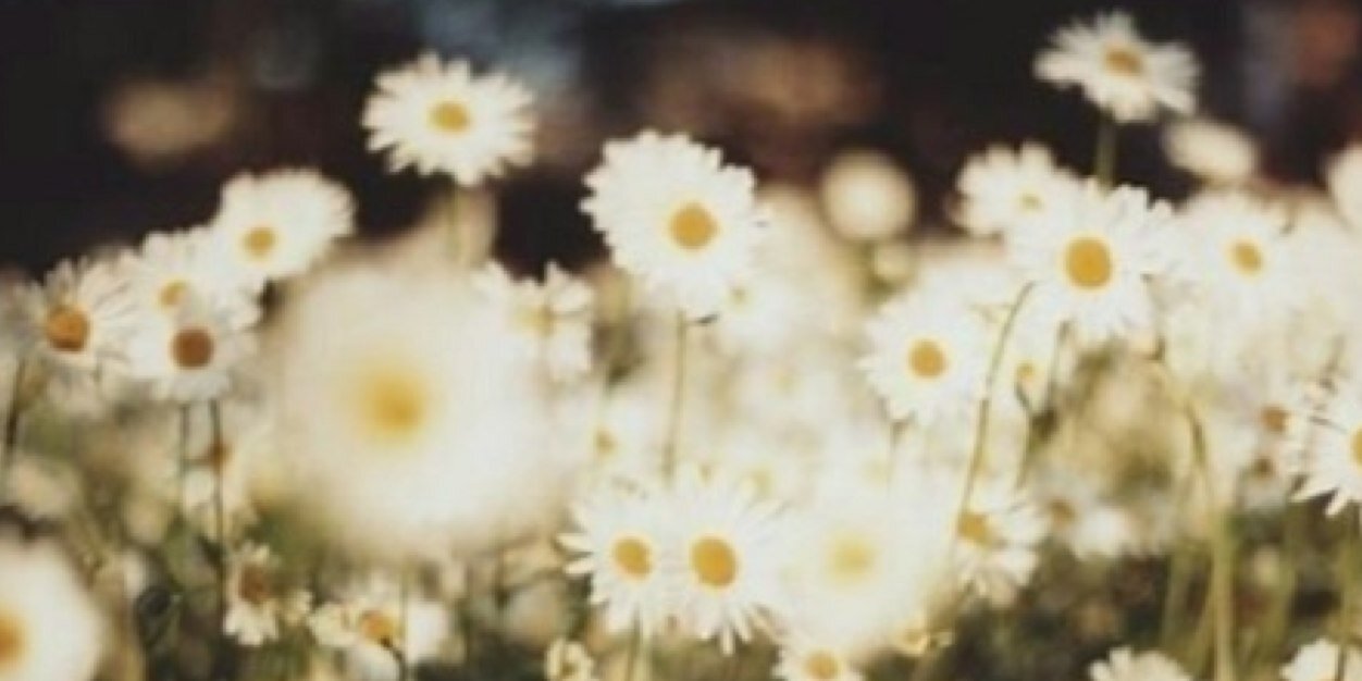 yayraiseeen's profile banner image
