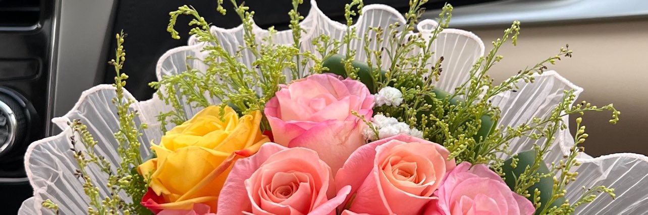 MOLY_ZH's profile banner image