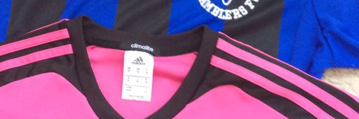 Leigh Ramblers Girls banner