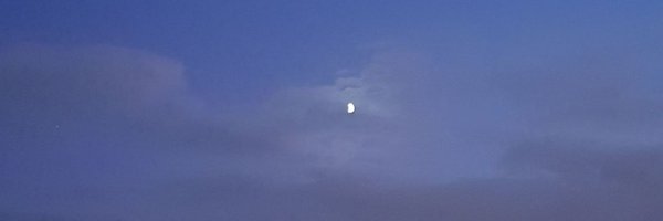 oristf2 Profile Banner