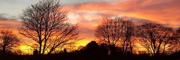 sallyannblot Profile Banner