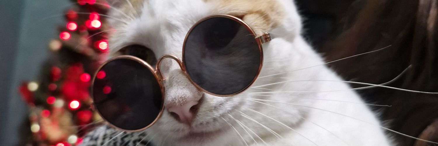 muffin7w7's profile banner image