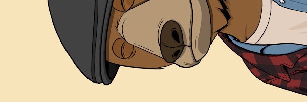 notnotokaybears's profile banner image