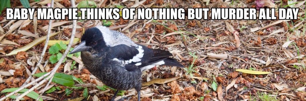 katejames.bsky.social banner