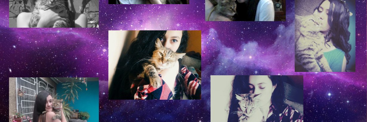 StepGmzOfficial's profile banner image