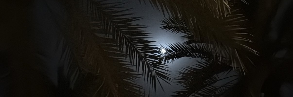 a_dw's profile banner image