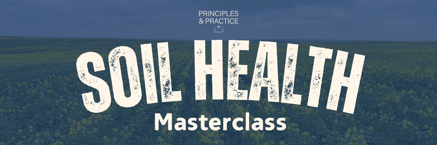 Joel Williams banner