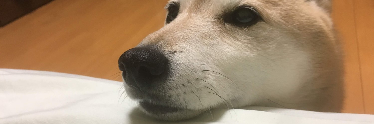 shun5ringo's profile banner image