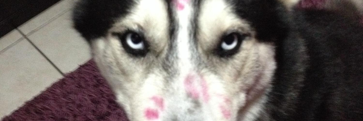 ThatOneGrlBhndU's profile banner image