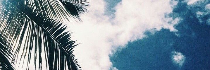 nathallysoares's profile banner image