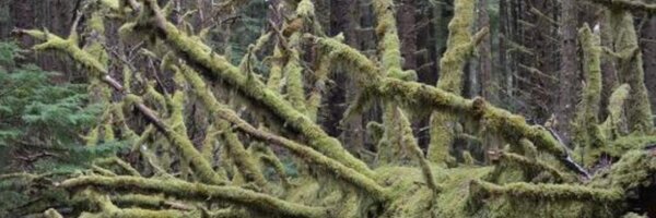 HirokiManabe Profile Banner