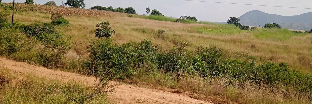 Sengcayeli's profile banner image