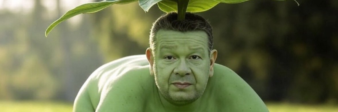 Tomate D. Fey banner