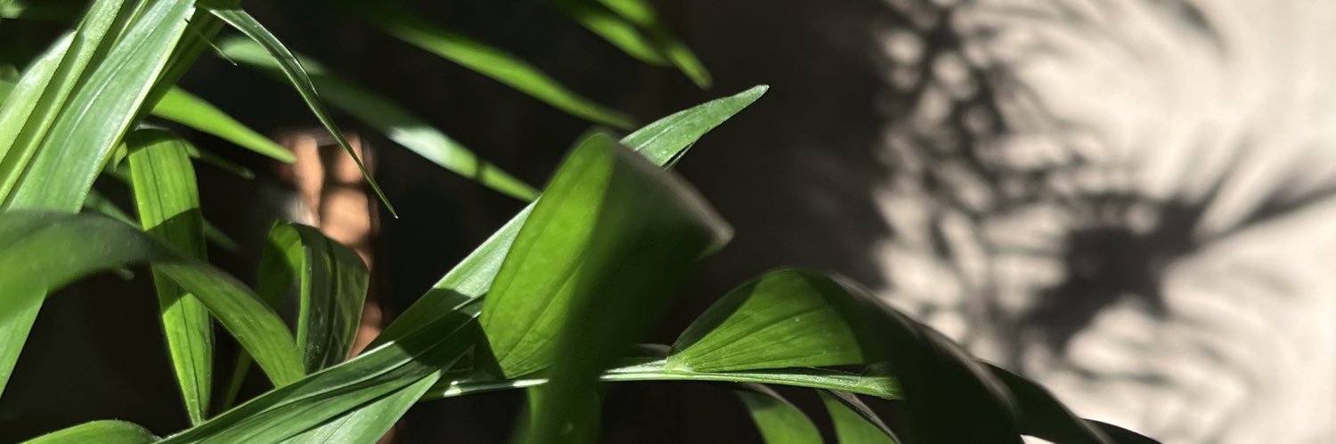 Nastya banner