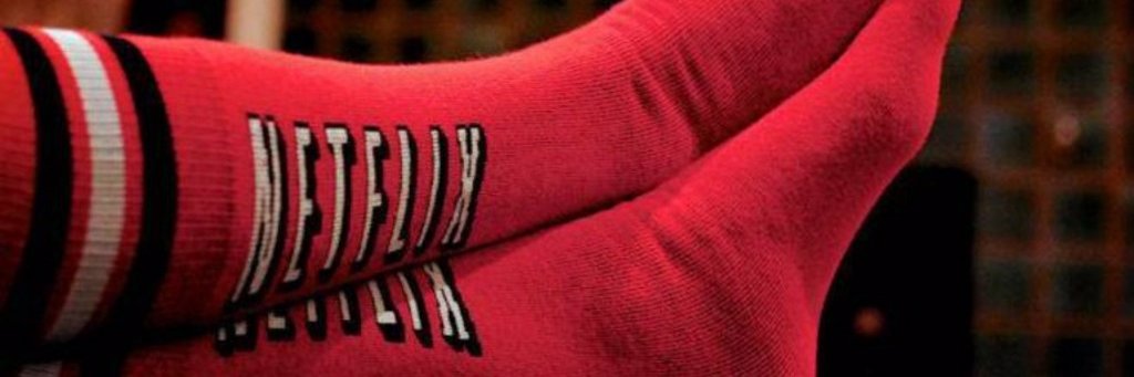 NetNetflix banner