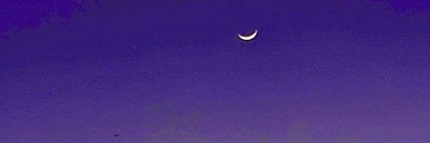 Emann_Mamdouh's profile banner image