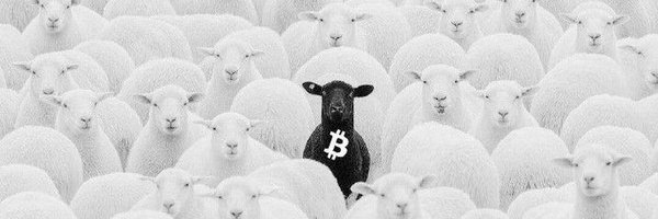 StayLiquid_btc Profile Banner