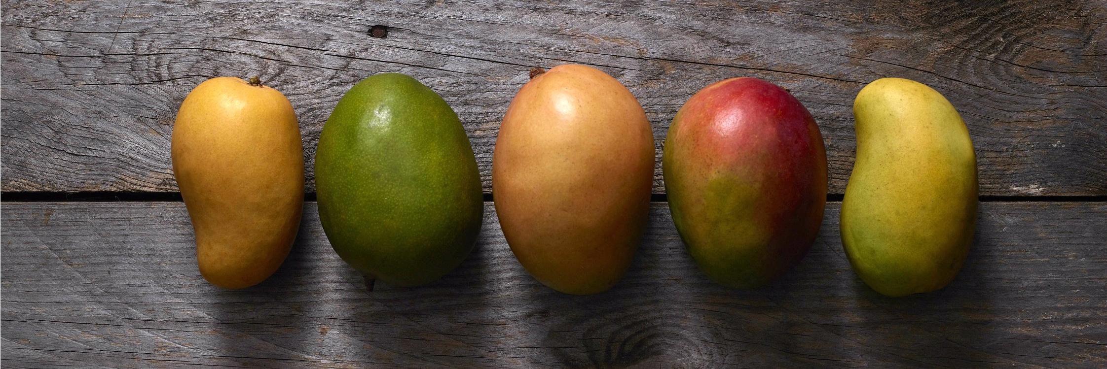 CONASPROMANGO's profile banner image