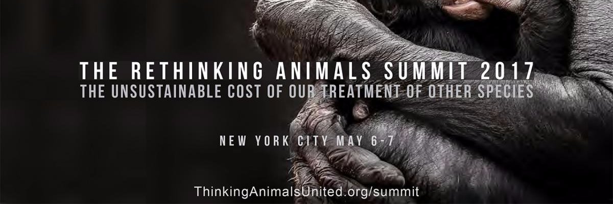 RethinkAnimals's profile banner image