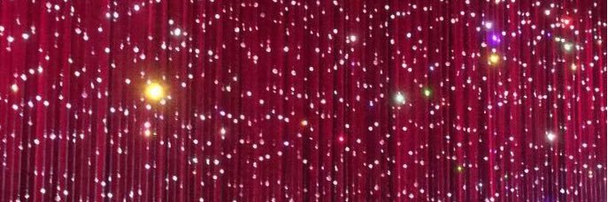 meganallbee's profile banner image