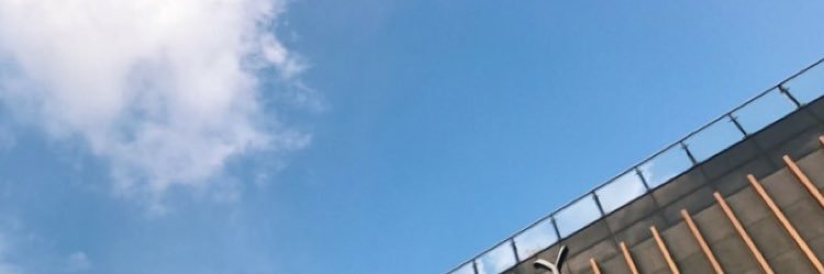 steadytaker's profile banner image