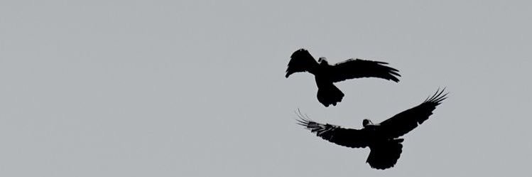 ods038's profile banner image