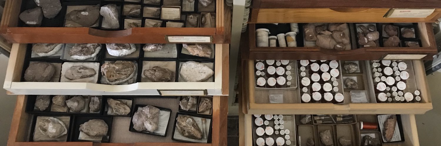 debbie wagner banner