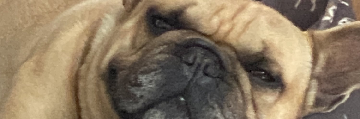 Johnny Liolios banner