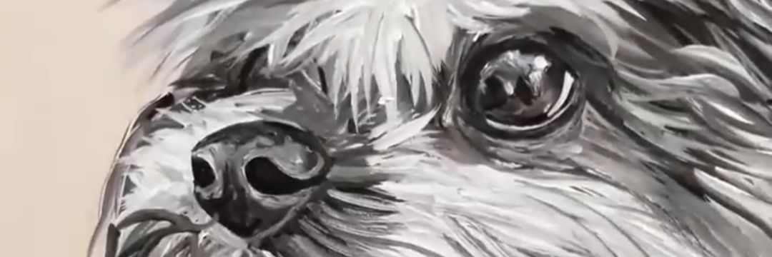 MLuzCalvo's profile banner image