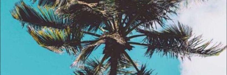wLdbaderr's profile banner image