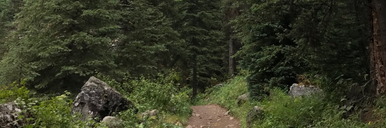 aprlpst's profile banner image