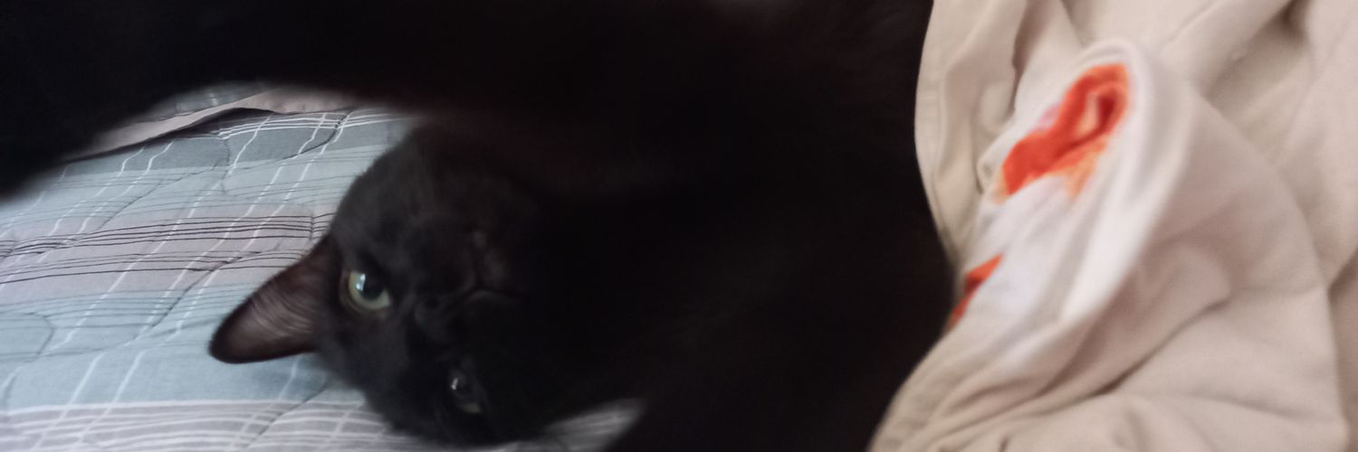 ifairynavi's profile banner image