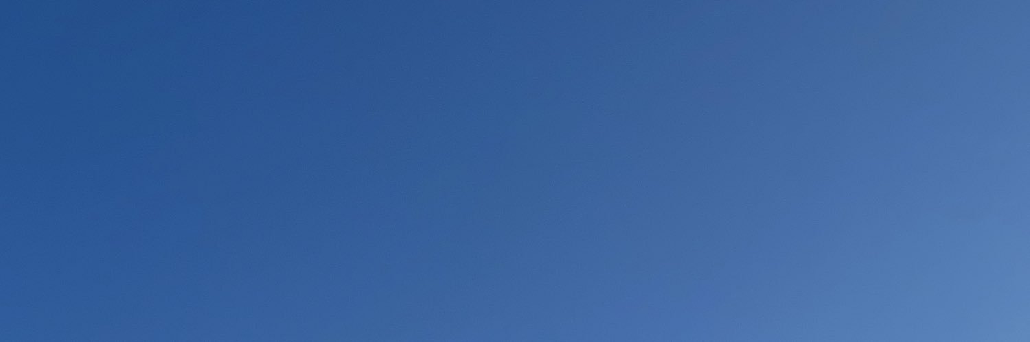 Little Bear banner