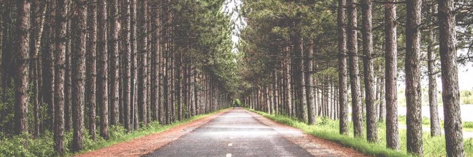 essentiallytwin's profile banner image