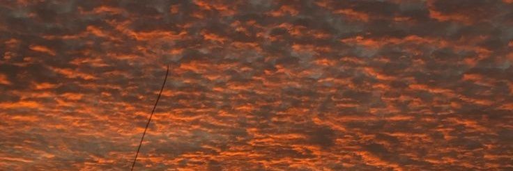 isis_genjo's profile banner image