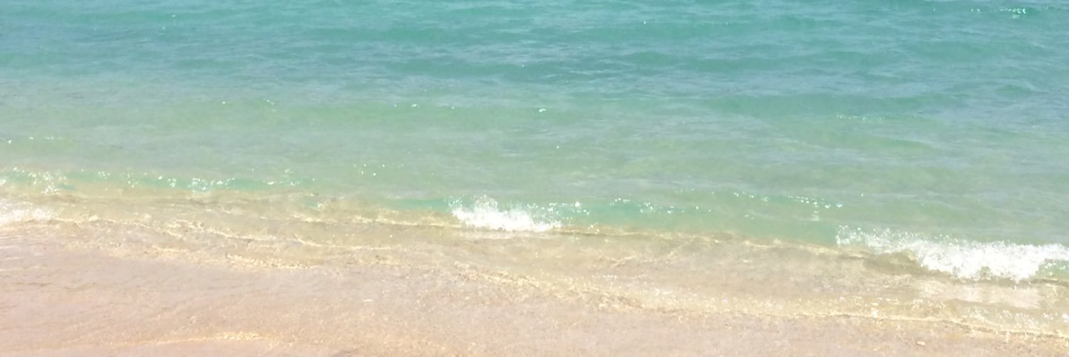 bripendal's profile banner image