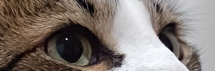 Jsllanten27's profile banner image