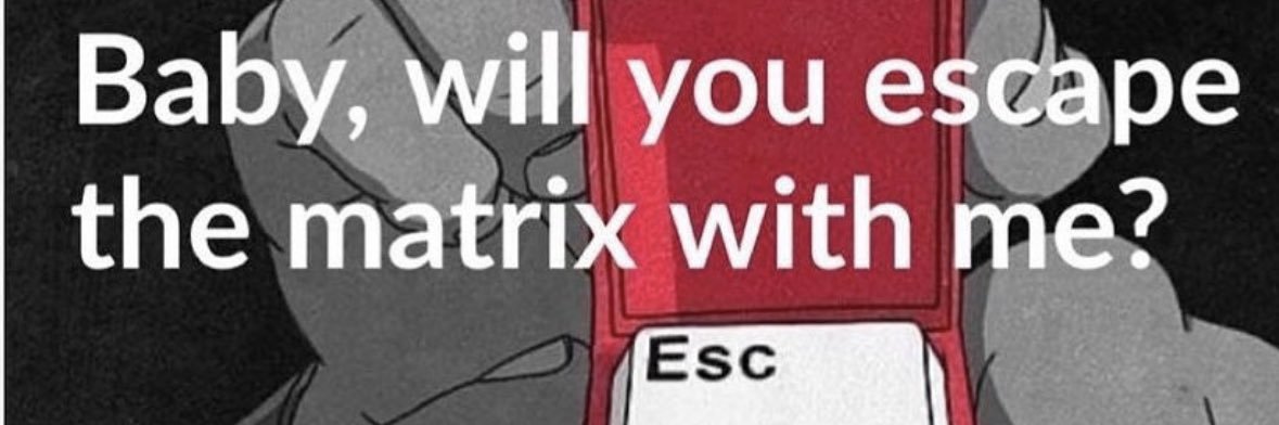 D_vinewon's profile banner image