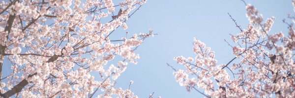 camepuchi Profile Banner