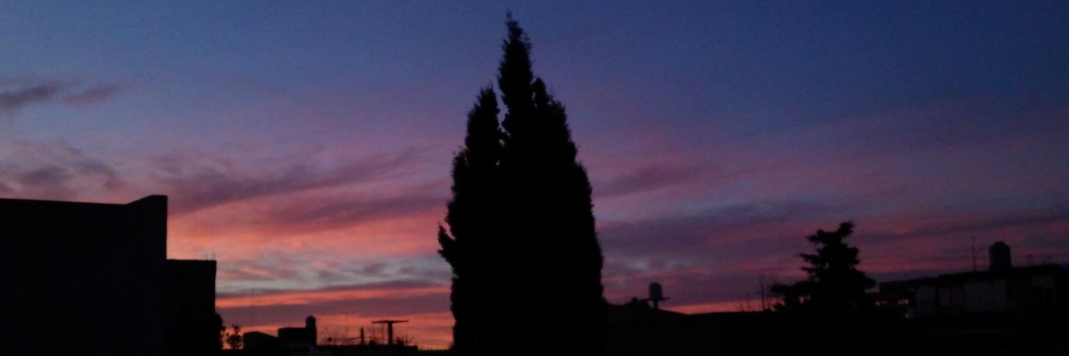 ConchudadeShit's profile banner image