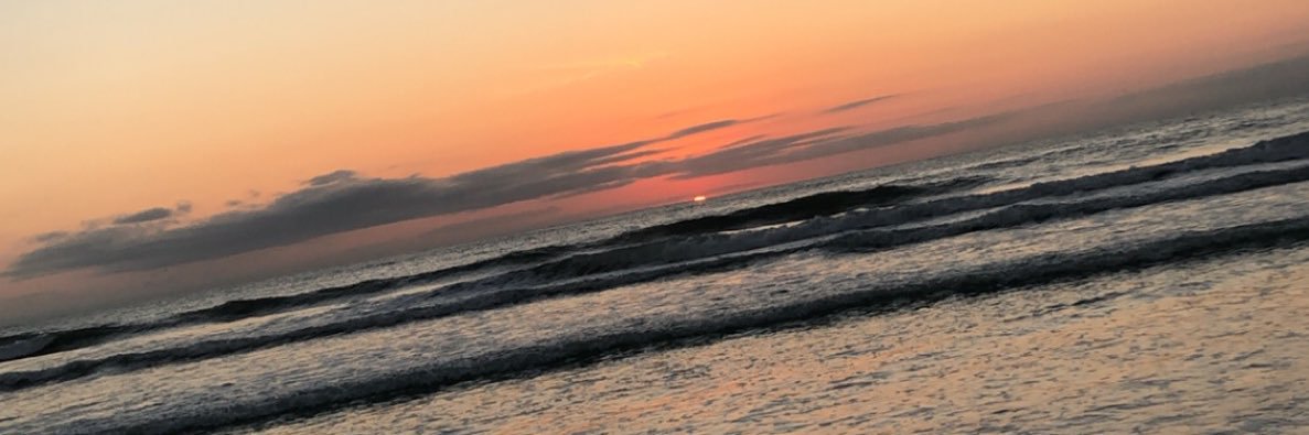christyn_1103's profile banner image