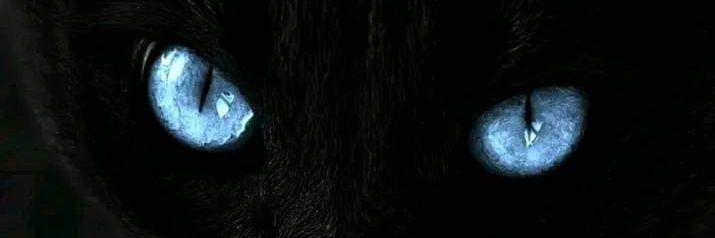 myPatron banner