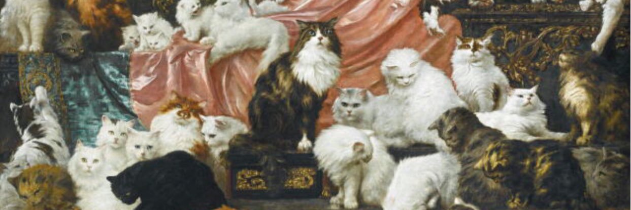 robo_kittens's profile banner image