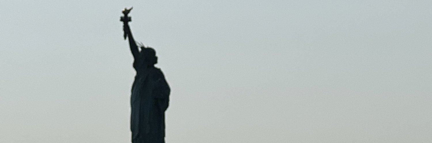 babasigalions's profile banner image