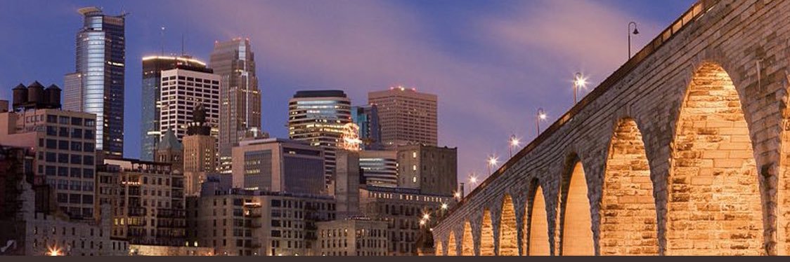 ★ 𝘝𝘪𝘬𝘪𝘯𝘨𝘣𝘦𝘢𝘶 ★ banner