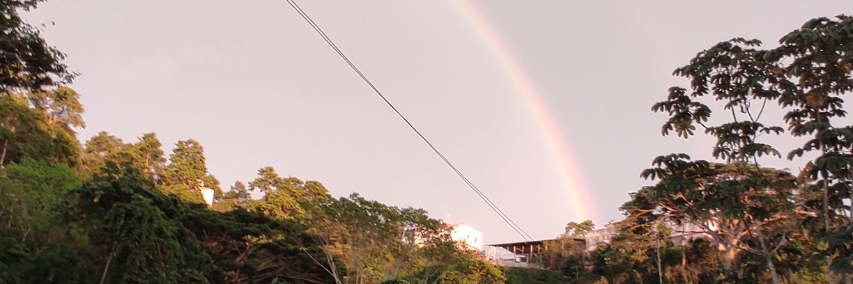 Lorenaenaa's profile banner image