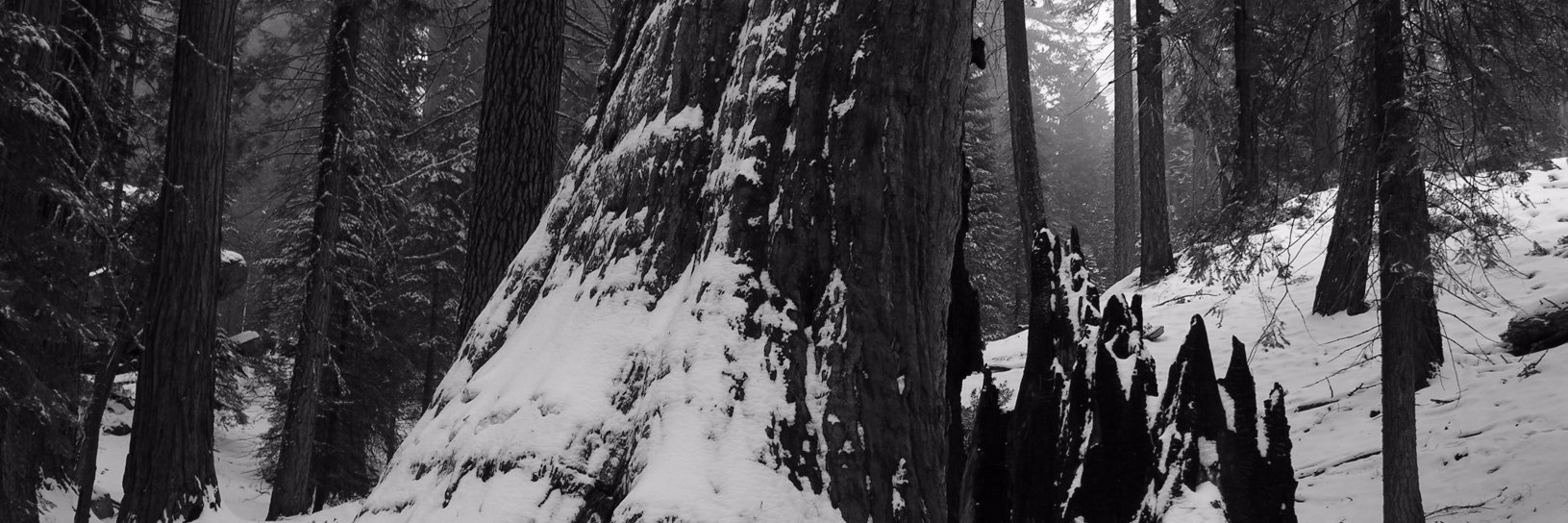 oddlyoddrey's profile banner image