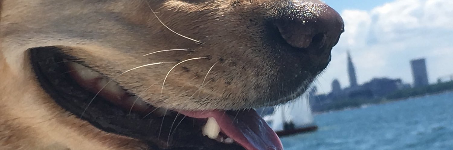 phatnate1's profile banner image