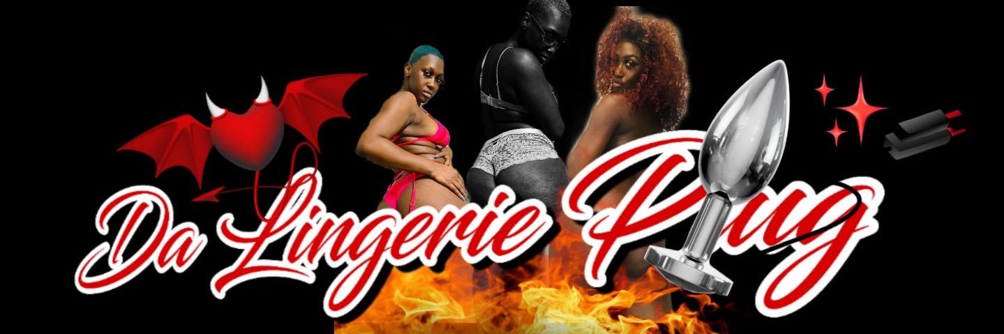 LingeriePlug's profile banner image